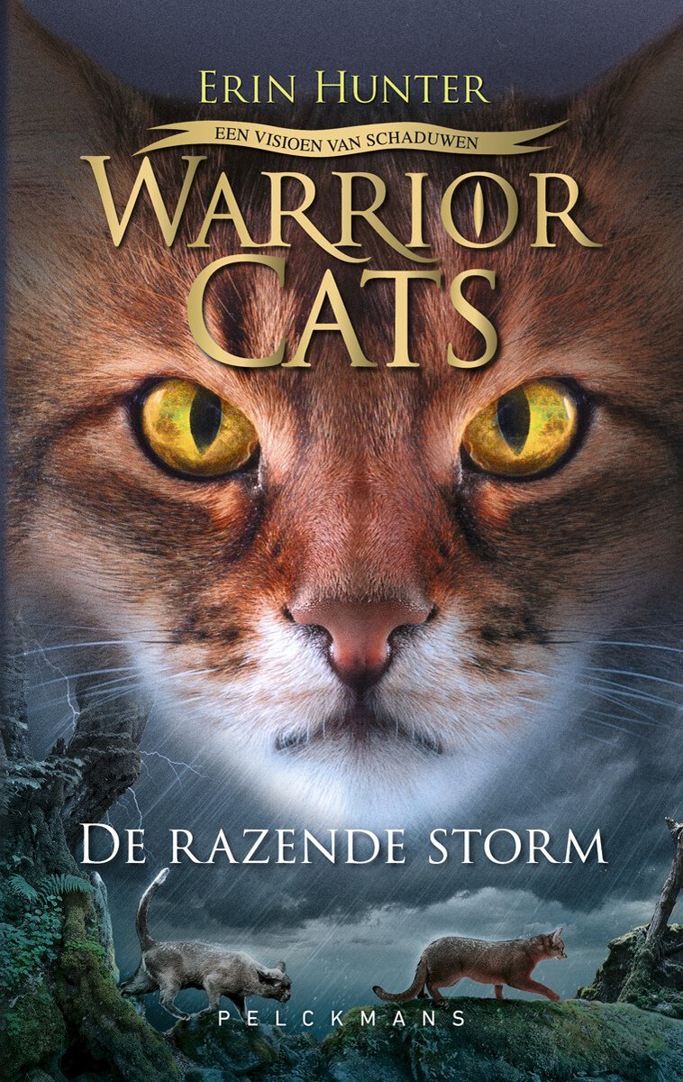 Warrior Cats 6 - Een visioen van schaduwen: De razende storm