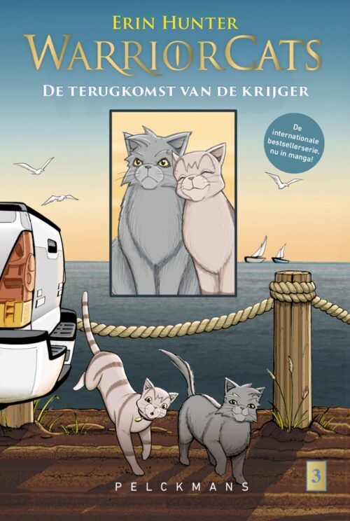 Warrior Cats - De terugkomst van de krijger 3 Grijsstreeps terugkeer